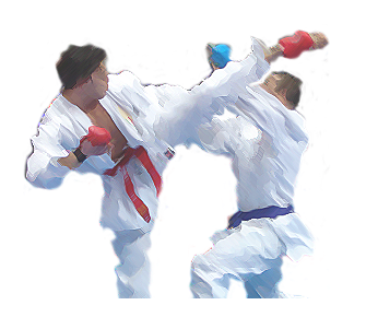 resultat open adidas karate 2016